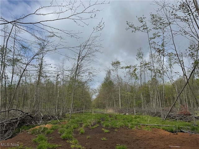 V/L State Line Rd, Conneaut, OH 44030