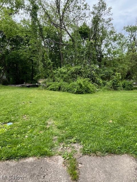 935 Baird St, Akron, OH 44306 - photo 5