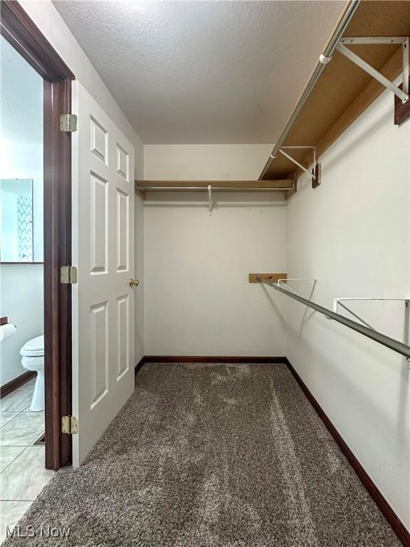95 Cheyenne Dr, Girard, OH 44420 - walk in closet featuring carpet