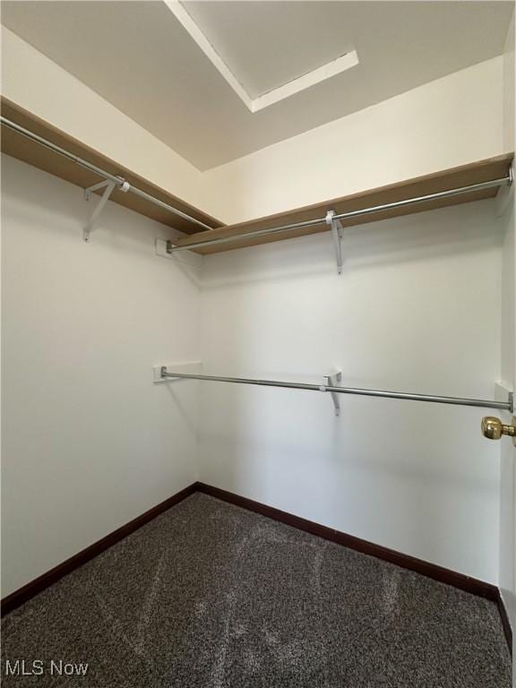 95 Cheyenne Dr, Girard, OH 44420 - spacious closet with carpet flooring