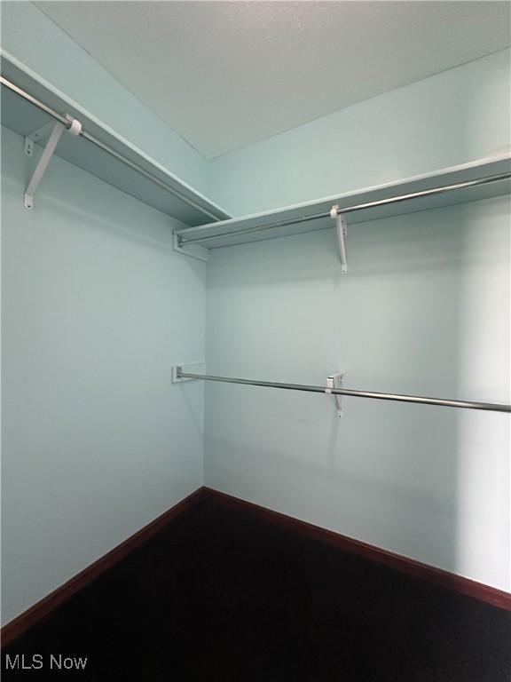 95 Cheyenne Dr, Girard, OH 44420 - view of spacious closet