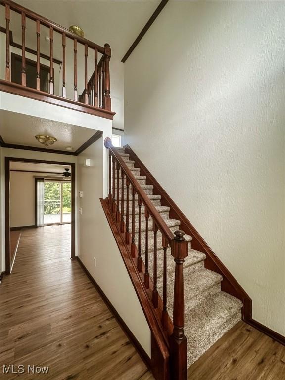 95 Cheyenne Dr, Girard, OH 44420 - stairs featuring wood finished floors and crown molding