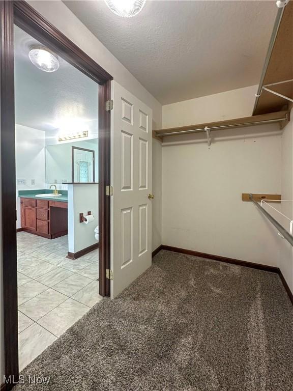 95 Cheyenne Dr, Girard, OH 44420 - walk in closet featuring a sink and light colored carpet