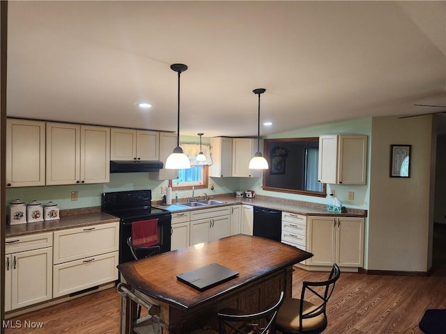 5747 E Clinton St, Albany, OH 45710 - kitchen featuring black appliances, under cabinet range hood, a sink, pendant lighting, and dark wood-type flooring