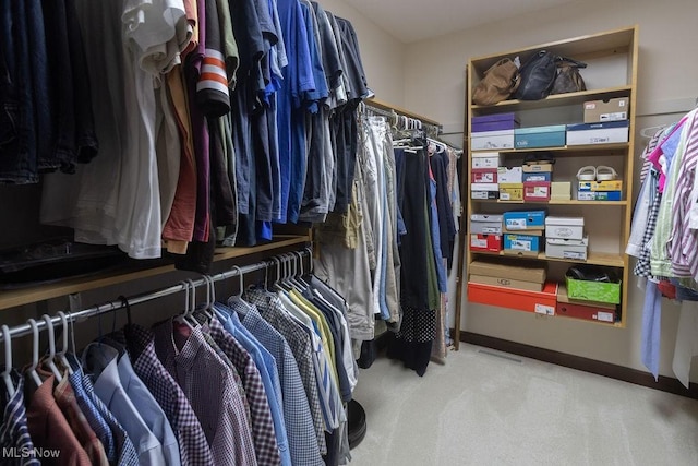 681 Tamarac Trl, Wadsworth, OH 44281 - walk in closet with carpet floors