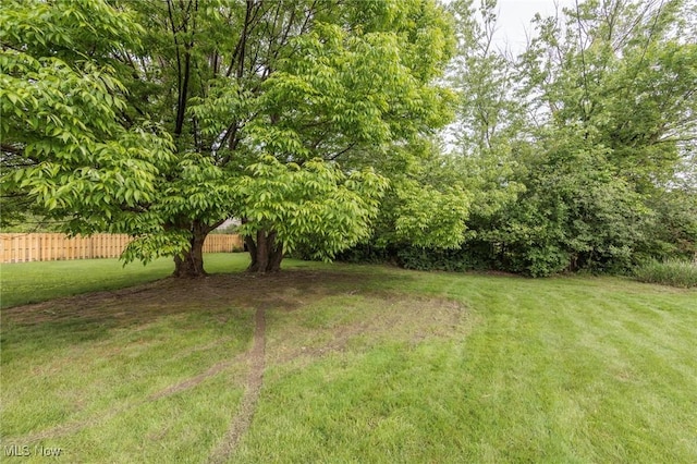 14245 Cedar Rd, South Euclid, OH 44121 - view of yard