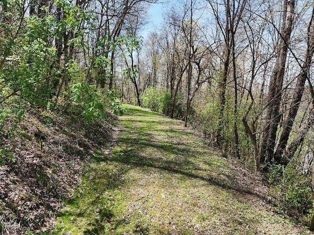 Cr-39, Bloomingdale, OH 43910 - photo 2