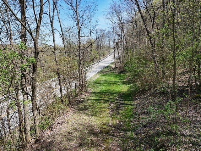 Cr-39, Bloomingdale, OH 43910 - photo 3