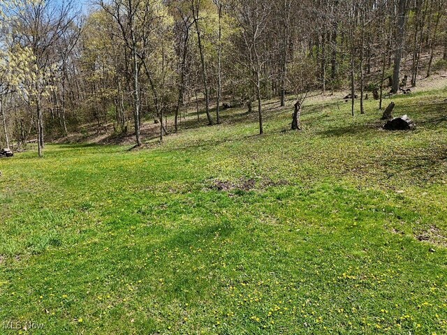 Cr-39, Bloomingdale, OH 43910 - photo 4