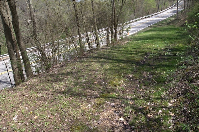 Cr-39, Bloomingdale, OH 43910 - photo 7
