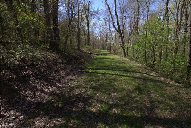 Cr-39, Bloomingdale, OH 43910 - photo 8