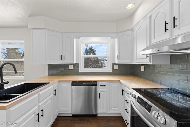 47423 Centerville Jacobsburg Rd, Jacobsburg, OH 43933 - kitchen featuring stainless steel appliances, a sink, under cabinet range hood, wood counters, and white cabinets
