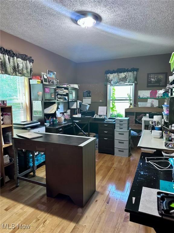 10664 W Little Kanawha Hwy, Mount Zion, WV 26151 - office area with light wood finished floors and a textured ceiling