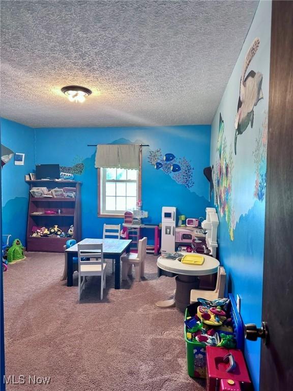 10664 W Little Kanawha Hwy, Mount Zion, WV 26151 - rec room with a textured ceiling and carpet floors