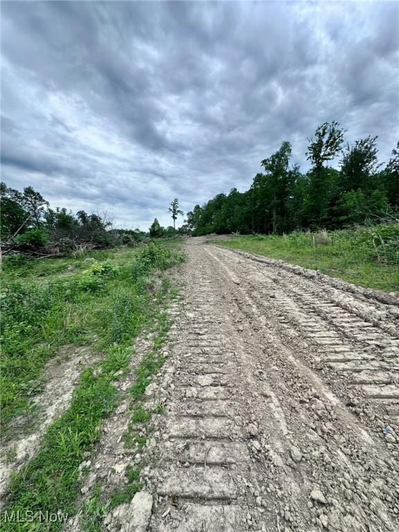 10664 W Little Kanawha Hwy, Mount Zion, WV 26151 - view of dirt / gravel road
