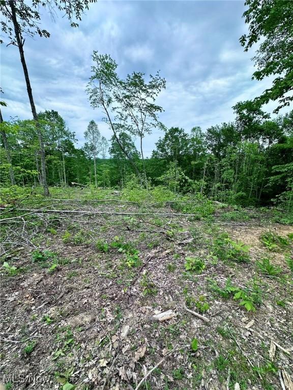 10664 W Little Kanawha Hwy, Mount Zion, WV 26151 - view of nature