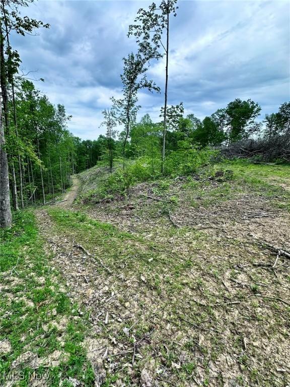 10664 W Little Kanawha Hwy, Mount Zion, WV 26151 - view of tree filled area