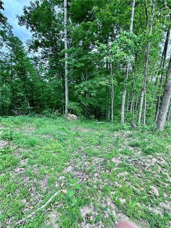 10664 W Little Kanawha Hwy, Mount Zion, WV 26151 - view of tree filled area