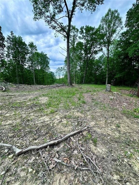 10664 W Little Kanawha Hwy, Mount Zion, WV 26151 - view of yard featuring a view of trees