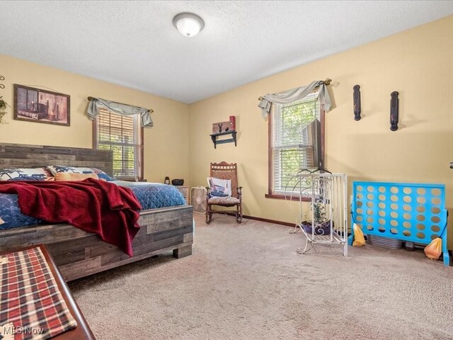 10664 W Little Kanawha Hwy, Mount Zion, WV 26151 - bedroom featuring multiple windows, carpet floors, and a textured ceiling