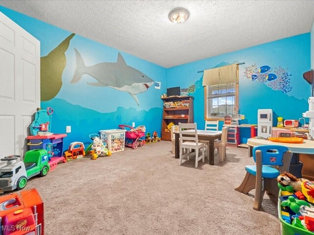 10664 W Little Kanawha Hwy, Mount Zion, WV 26151 - rec room featuring carpet and a textured ceiling