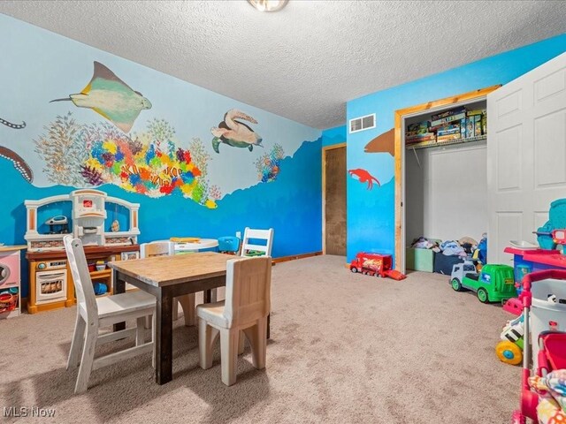 10664 W Little Kanawha Hwy, Mount Zion, WV 26151 - game room with carpet and a textured ceiling