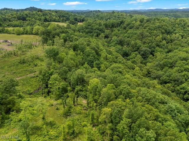 10664 W Little Kanawha Hwy, Mount Zion, WV 26151 - bird's eye view of a heavily wooded area