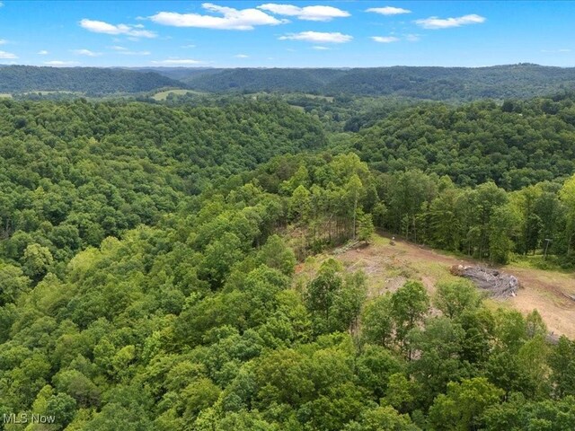 10664 W Little Kanawha Hwy, Mount Zion, WV 26151 - aerial view of a forest