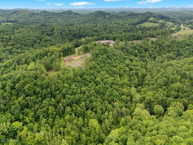 10664 W Little Kanawha Hwy, Mount Zion, WV 26151 - aerial view of a heavily wooded area and a mountain backdrop