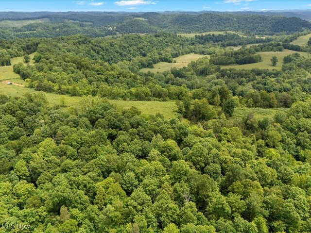 10664 W Little Kanawha Hwy, Mount Zion, WV 26151 - aerial view of a heavily wooded area