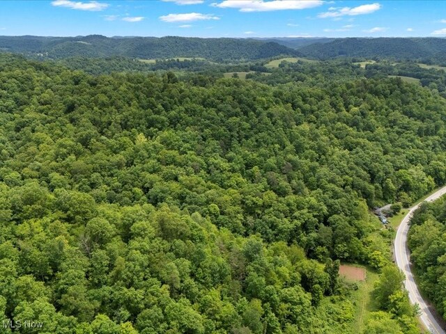 10664 W Little Kanawha Hwy, Mount Zion, WV 26151 - bird's eye view of a heavily wooded area and mountains