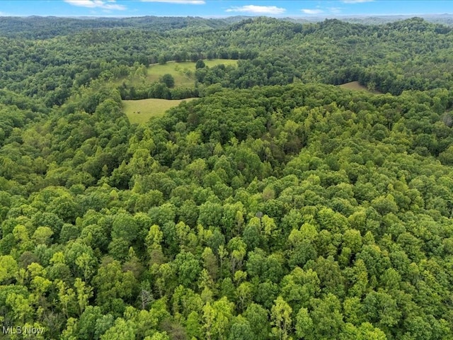 10664 W Little Kanawha Hwy, Mount Zion, WV 26151 - bird's eye view of a forest