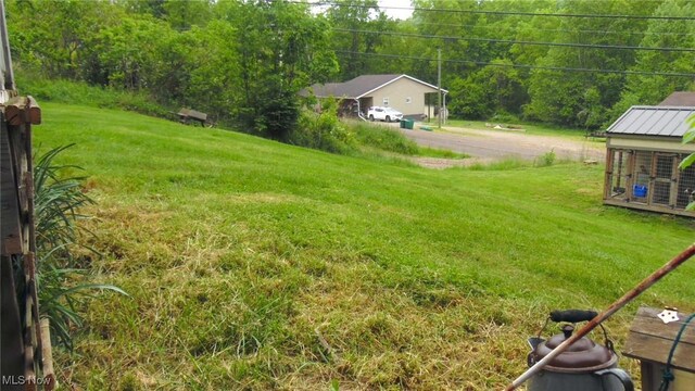 20296 Crk 6, Coshocton, OH 43812 - view of grassy yard with dirt driveway and a view of trees