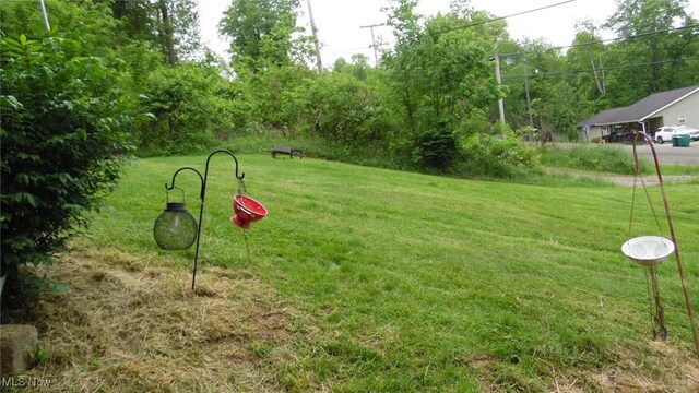 20296 Crk 6, Coshocton, OH 43812 - view of home's community featuring a yard
