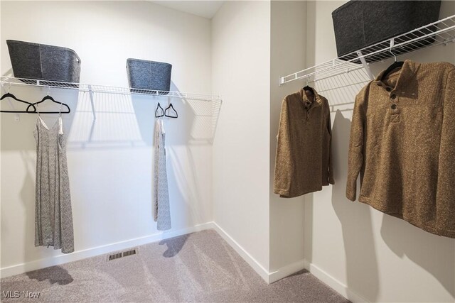 4367 Main St, Perry, OH 44081 - spacious closet with carpet