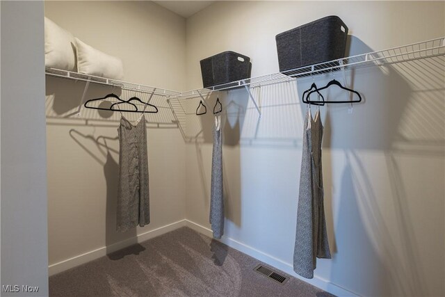 4367 Main St, Perry, OH 44081 - walk in closet with dark carpet