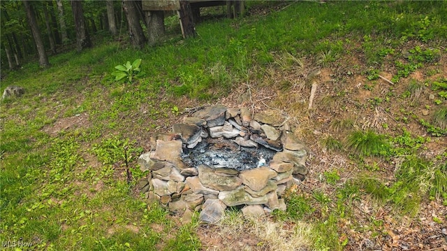 2993 Harris Hwy, Washington, WV 26181 - view of yard with a fire pit