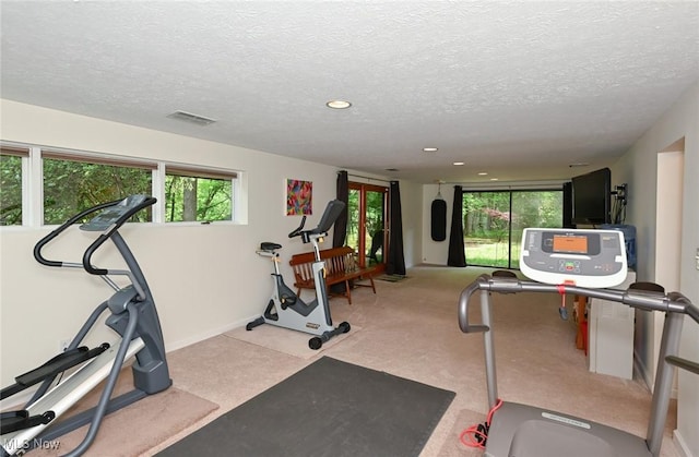 947 Trimble Pl, Sagamore Hills, OH 44067 - exercise room featuring plenty of natural light, a textured ceiling, recessed lighting, carpet floors, and baseboards