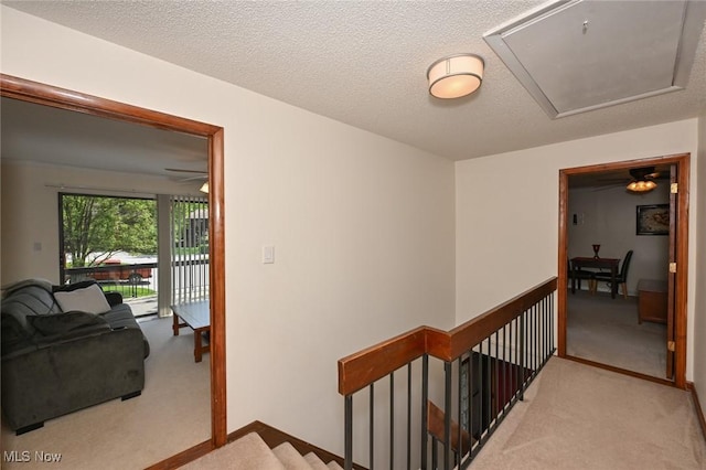 947 Trimble Pl, Sagamore Hills, OH 44067 - hallway with carpet, an upstairs landing, attic access, and a textured ceiling