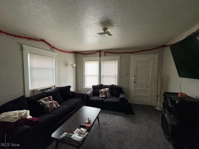 805 Biruta St, Akron, OH 44307 - photo 3