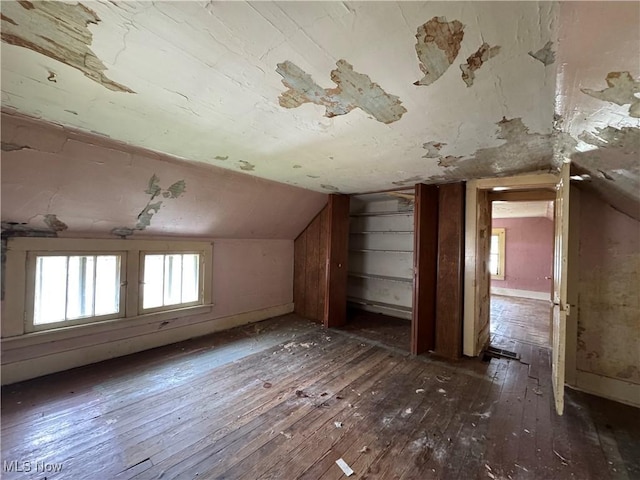 202 E Spring St, Bethesda, OH 43719 - additional living space with hardwood / wood-style flooring, plenty of natural light, and vaulted ceiling