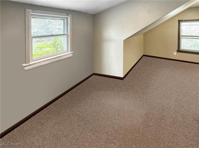 14014 Sylvia Ave, Cleveland, OH 44110 - bonus room with carpet flooring and baseboards