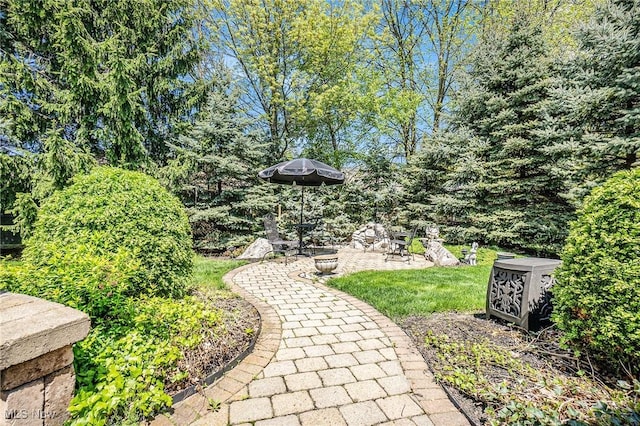29 Amber Way, Norwalk, OH 44857 - view of yard with a patio area