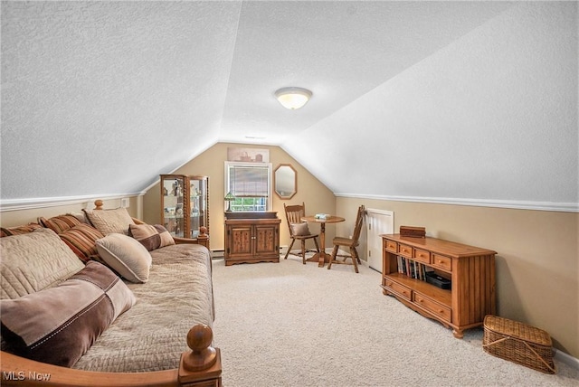 29 Amber Way, Norwalk, OH 44857 - interior space with carpet, vaulted ceiling, a baseboard radiator, a textured ceiling, and baseboards