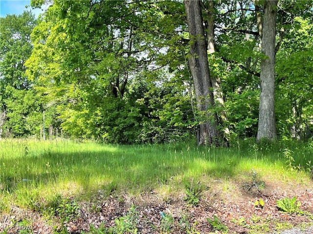 46150 Y And O Rd, East Liverpool, OH 43920