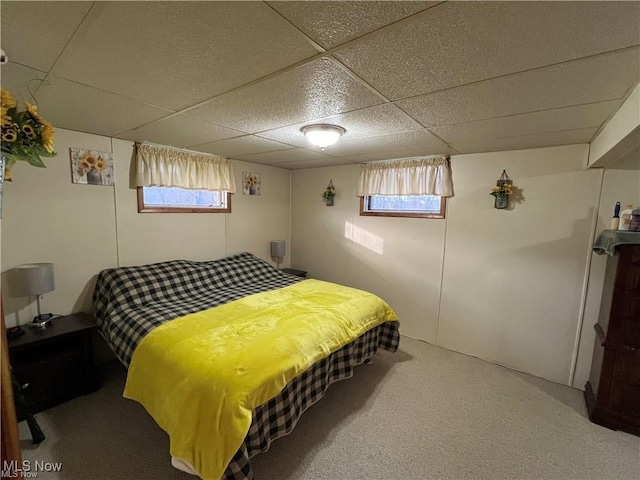 20022 County Road 6, Coshocton, OH 43812 - carpeted bedroom with multiple windows and a paneled ceiling