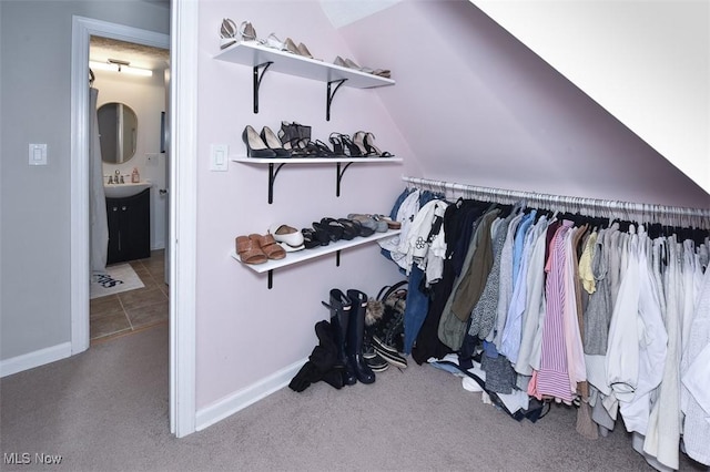 17917 Scottsdale Blvd, Shaker Heights, OH 44122 - walk in closet with a sink, carpet, and lofted ceiling
