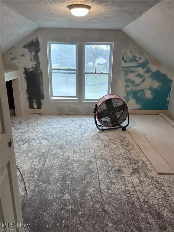 4505 Lane Rd, Perry, OH 44081 - bonus room featuring vaulted ceiling and a textured ceiling