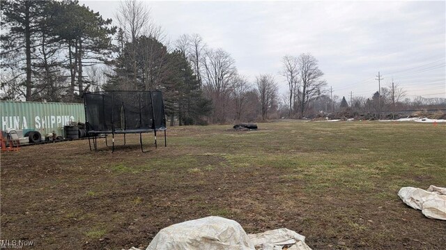 4505 Lane Rd, Perry, OH 44081 - view of green lawn featuring a trampoline