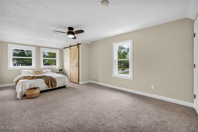 5325 Jefferson Ave, Ashtabula, OH 44004 - bedroom featuring vaulted ceiling, a barn door, baseboards, and multiple windows